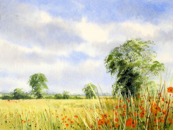Watercolour - High Summer, North Norfolk