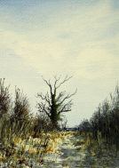 Watercolour - Sheltering from the Cold Wind, Foxley